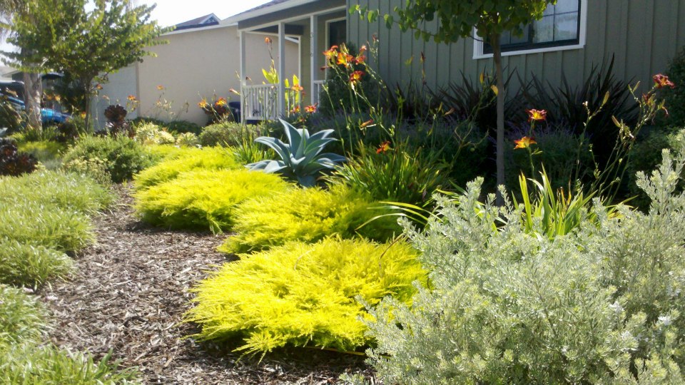 Turf Removal Rebate Drought Friendly, Rebates For Drought Resistant Landscape